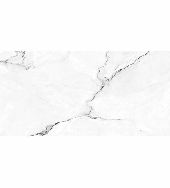 Balma gris lappato 60x120