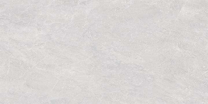 Trento gris lappato 60x120
